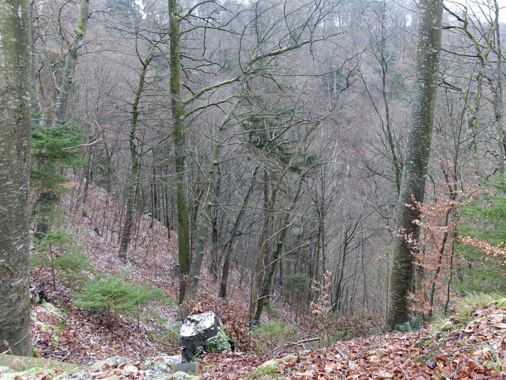 Blick ins Stöckenloch