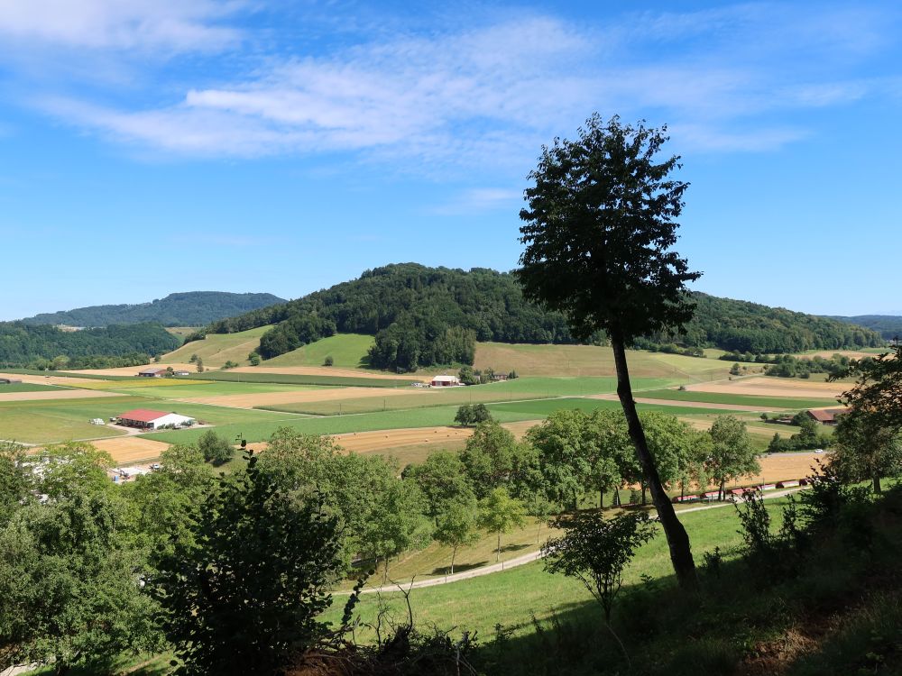 Blick zum Rhischberg