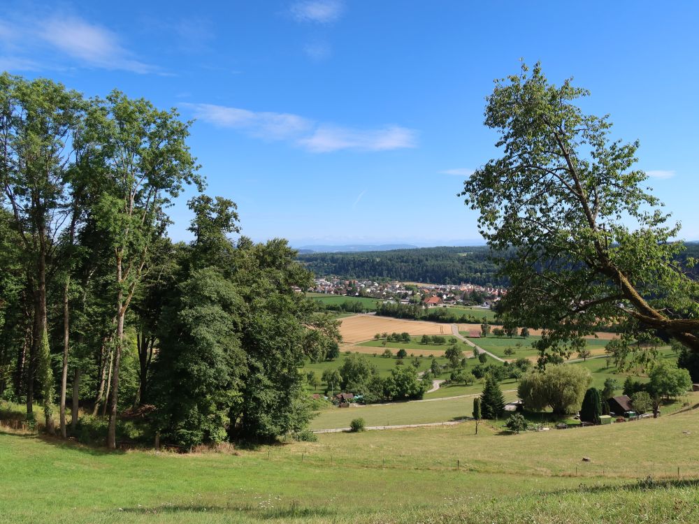 Blick Richtung Glattfelden