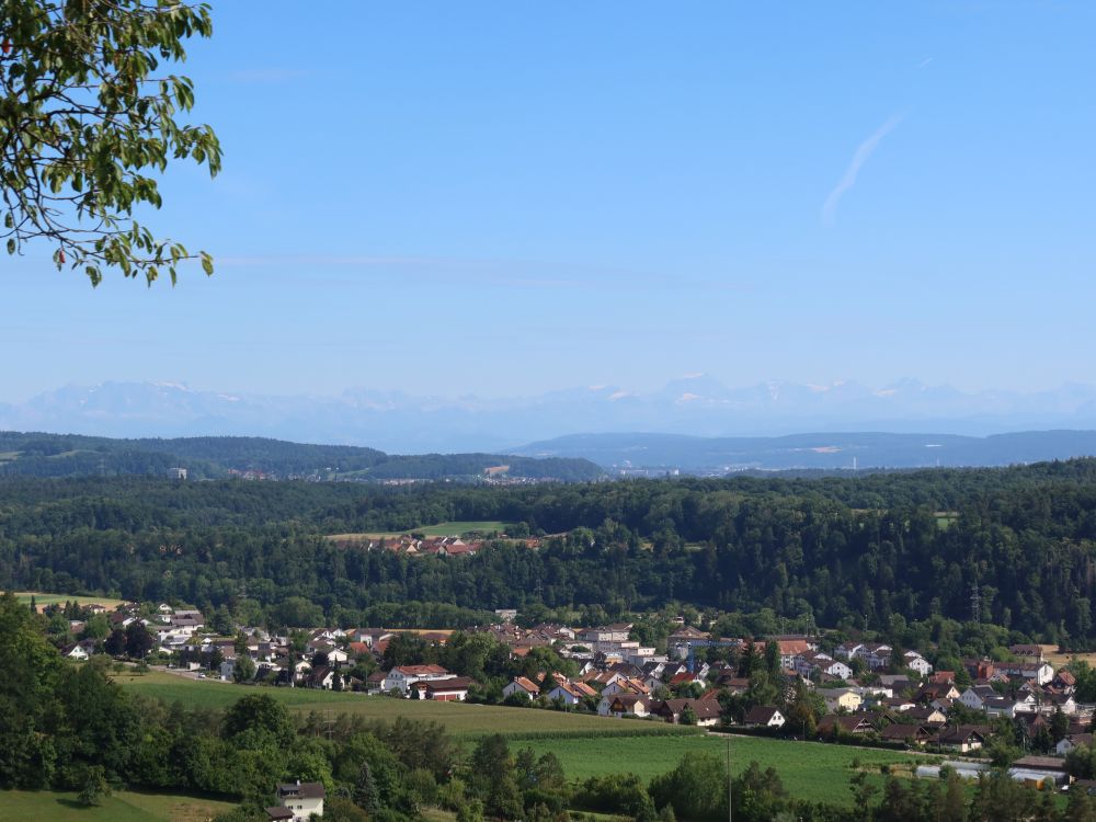 Glarneralpen im Dunst und Glattfelden (u.)