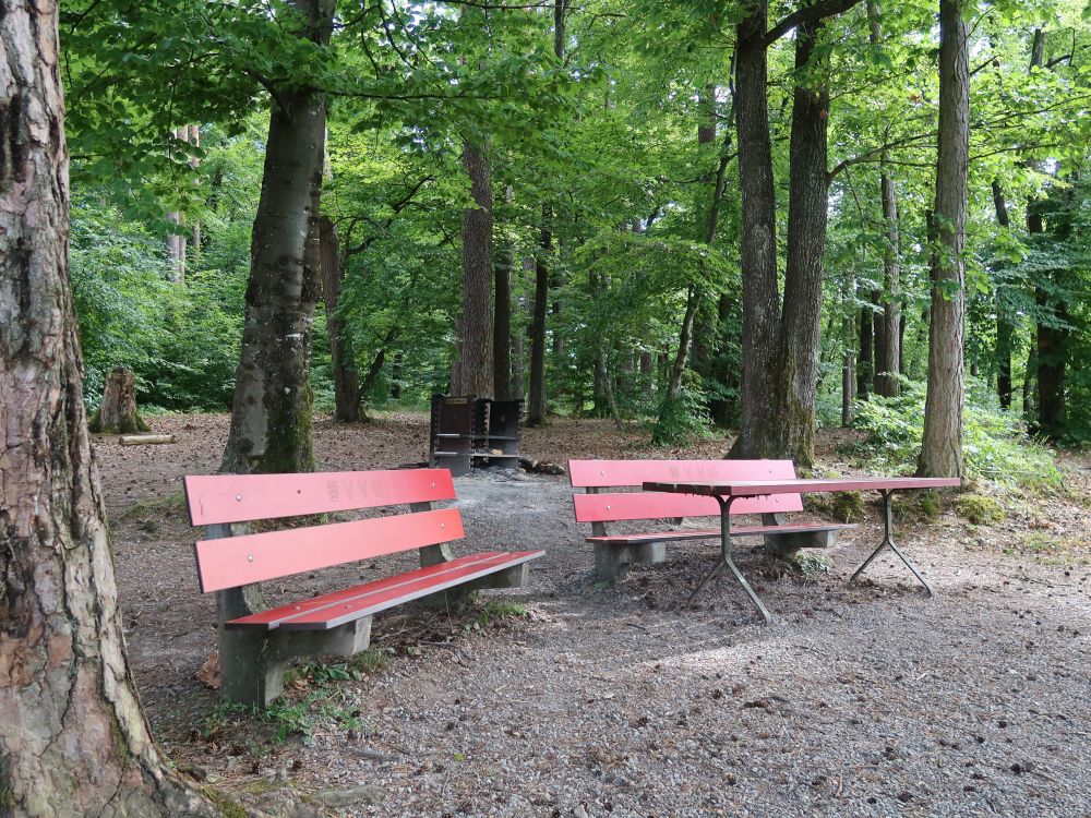 Grillplatz im Paradiesgärtli