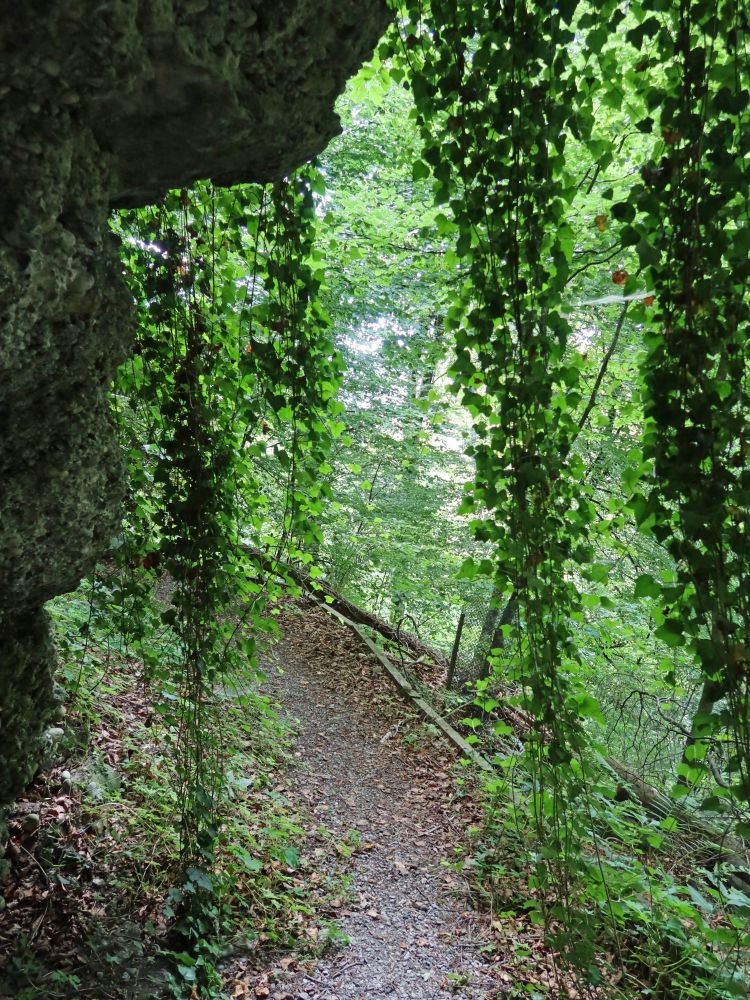 Blättervorhang an Heidenstube