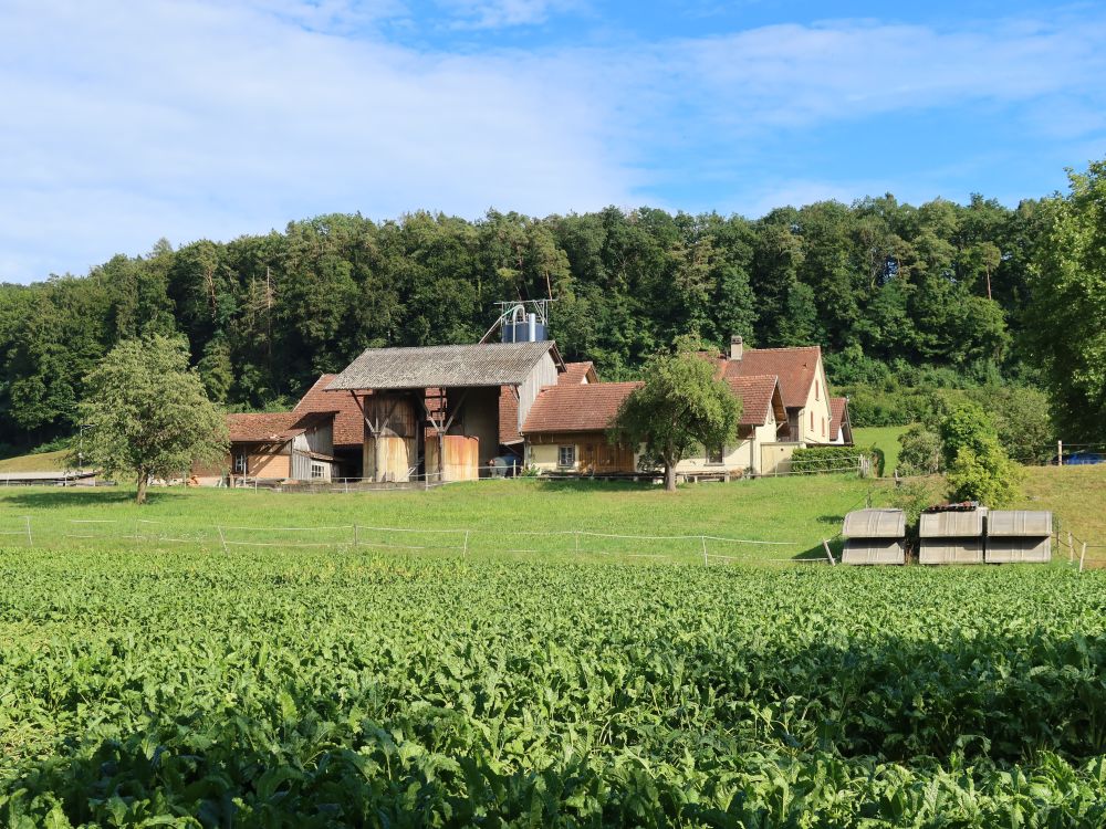 Bauernhof im Zelgli