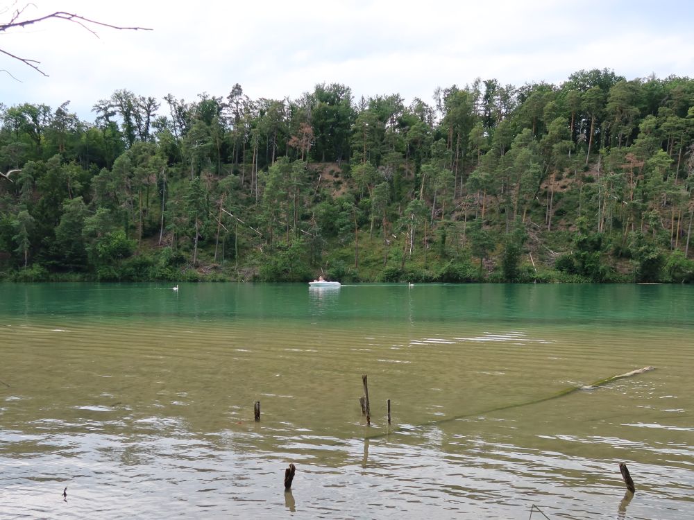 Boot auf dem Rhein