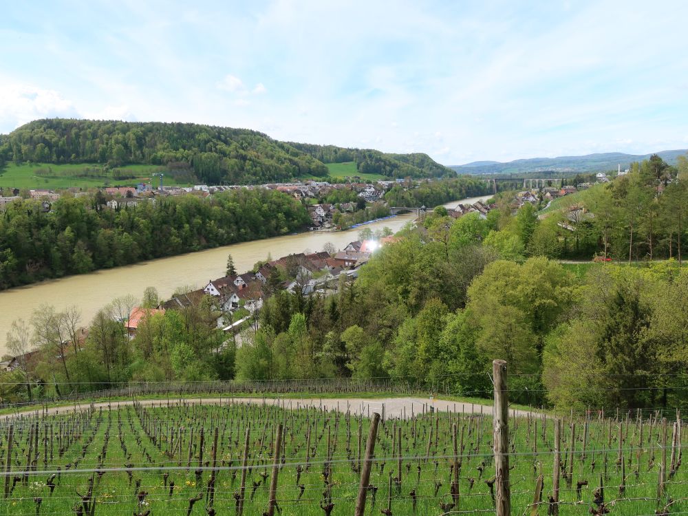 Blick auf Eglisau von Eichhalden