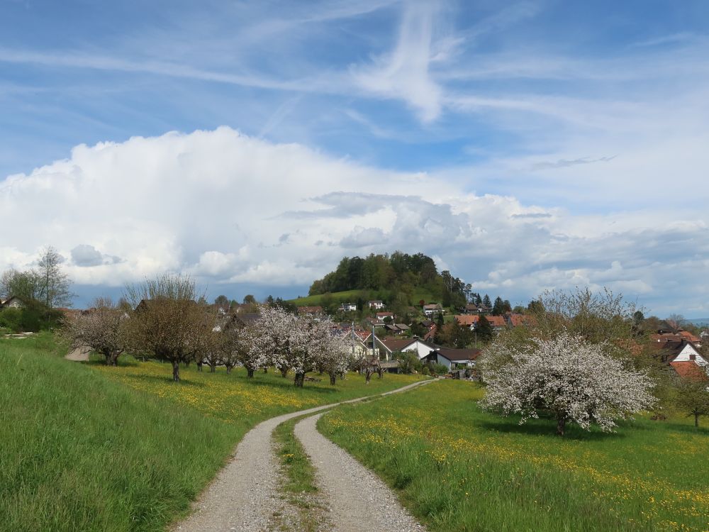 Hügel Hurbig bei Buchberg