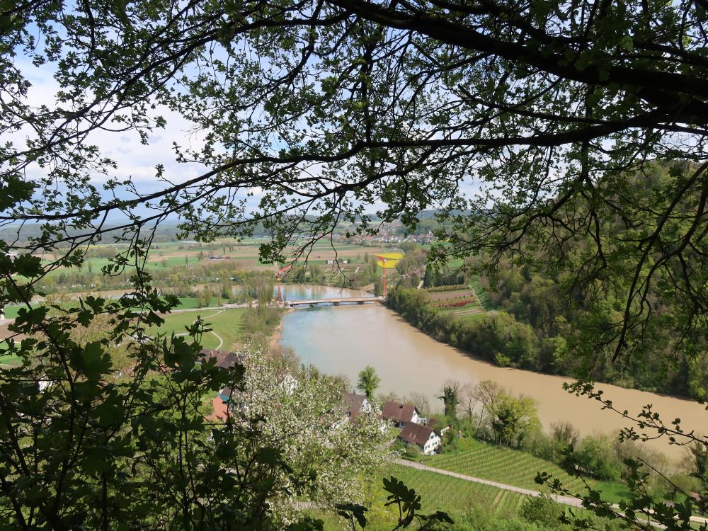 Rhein bei Rüdlingen