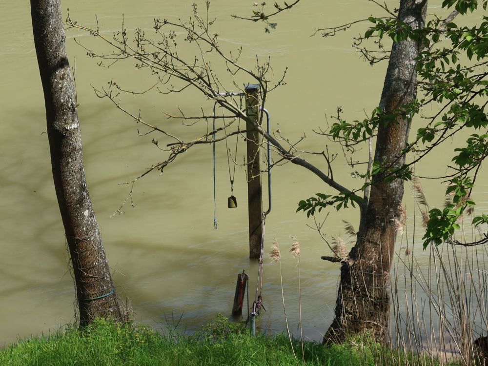 Glocke am Rhein