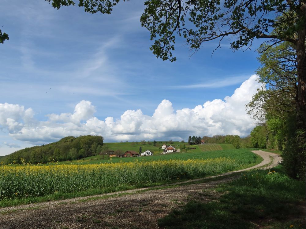 Blick zum Murkathof