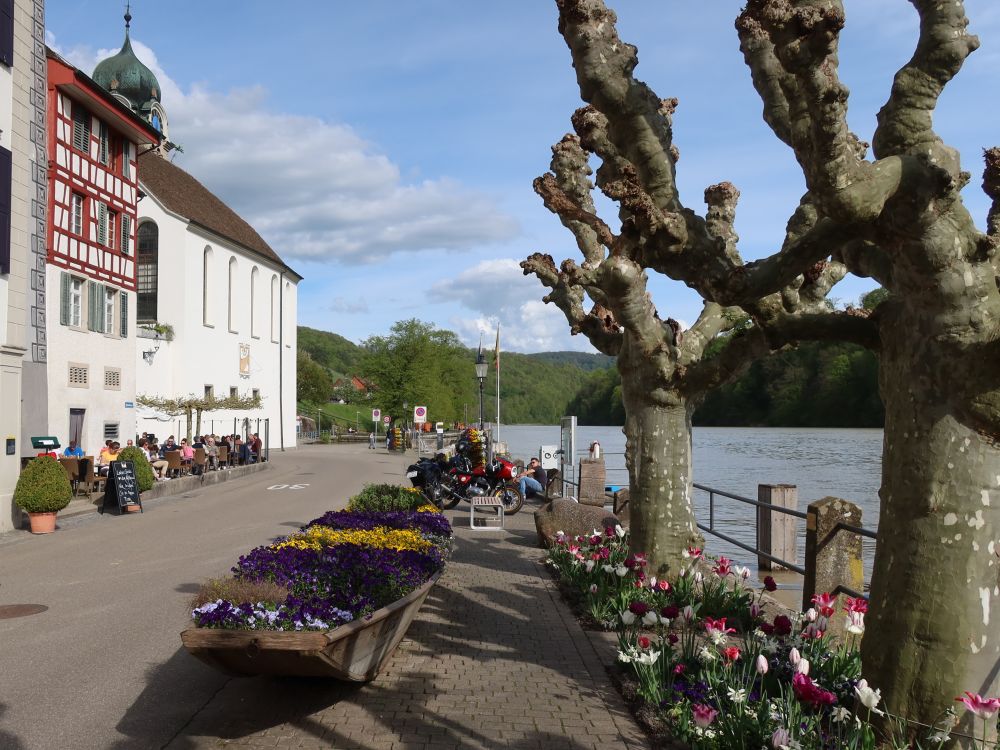 Uferpromenade Eglisau