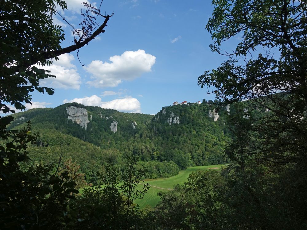 Burg Wildenstein