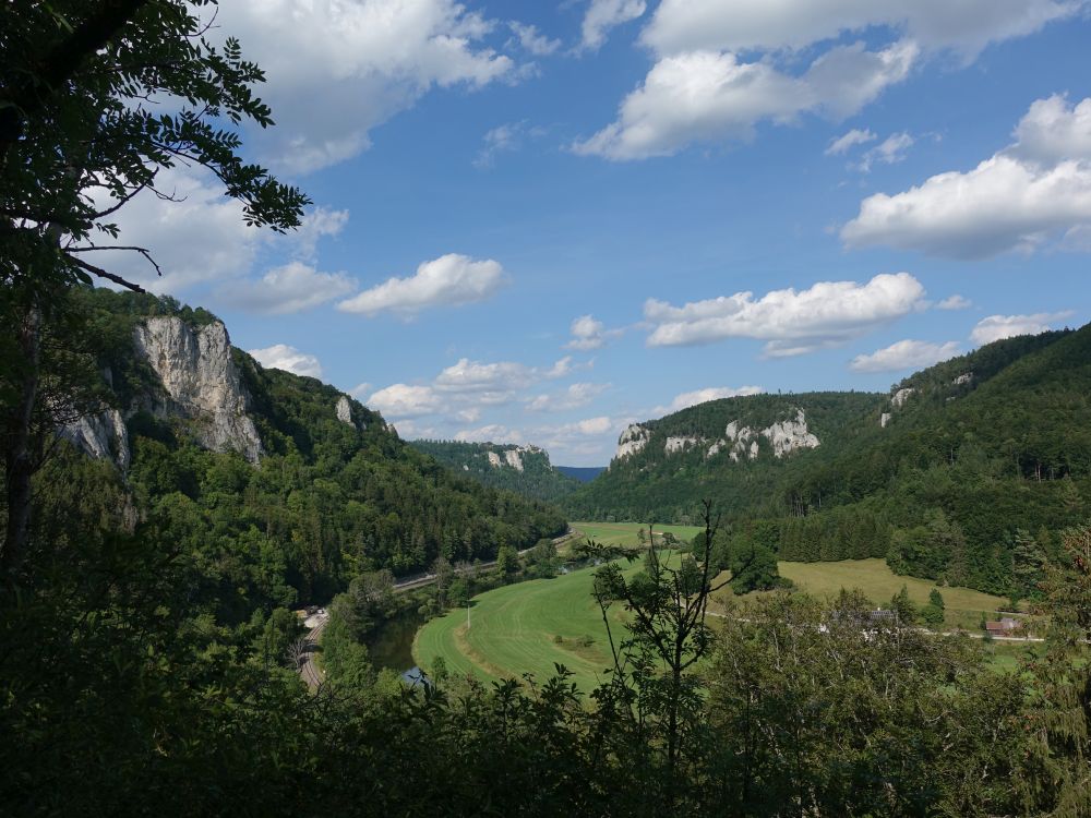 Blick von Vögelesruhe ins Donautal