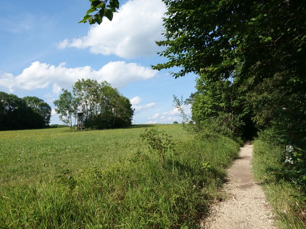 Schwäbische-Alb-Südrand-Weg