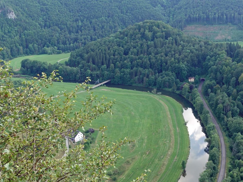 Käpfle mit Donausteg und Donauhaus