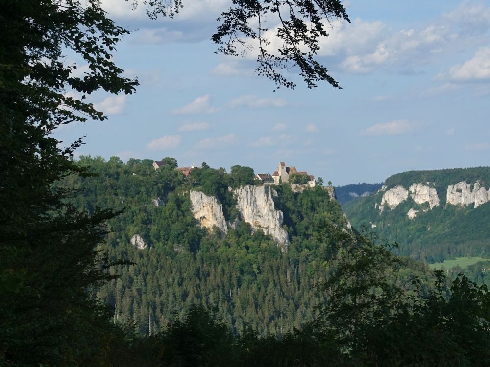 Schloss Werenwag