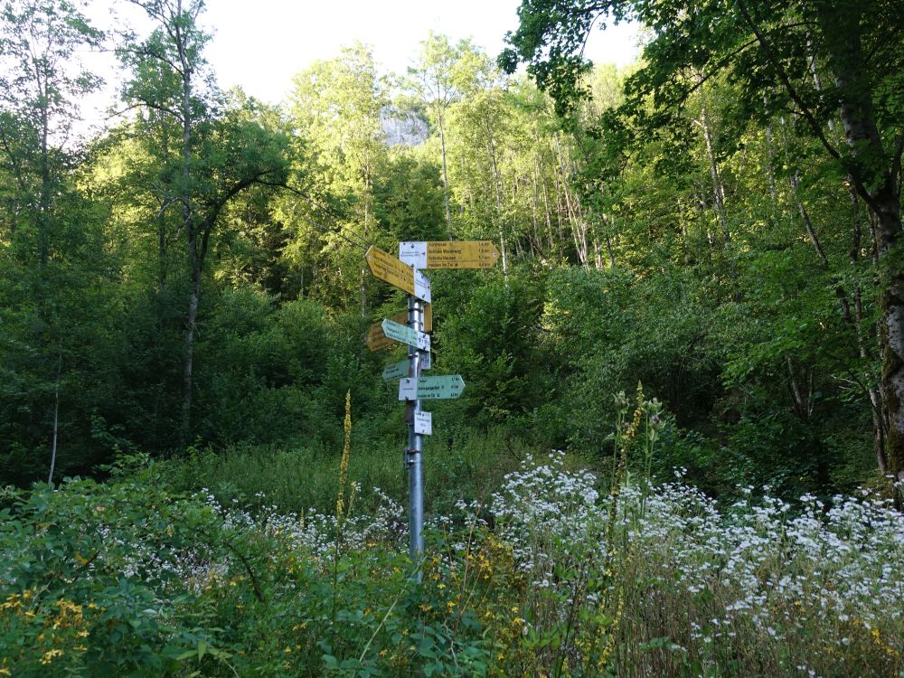 Wanderwegweiser im Finstertal