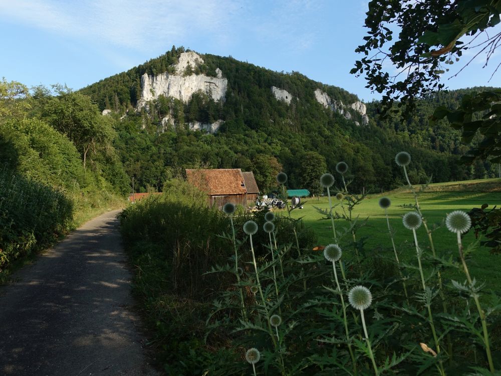 Fachfelsen über Talhof