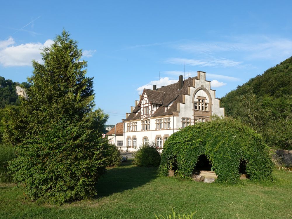 Baum als Gartenlaube