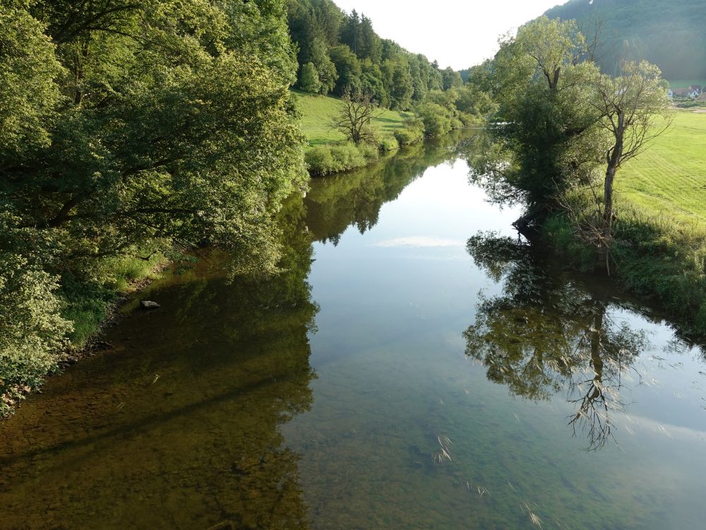 Donau bei Talhof