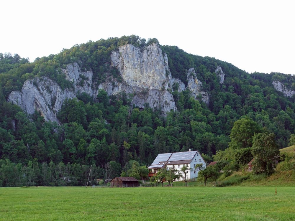 Eichfelsen und Donauhaus