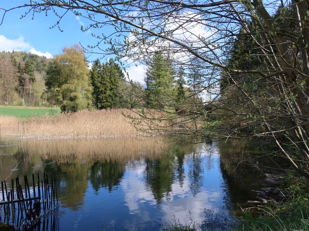 Weiher am Bolsternbach