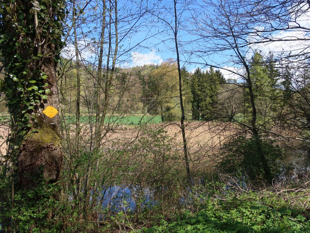 Weiher am Bolsternbach