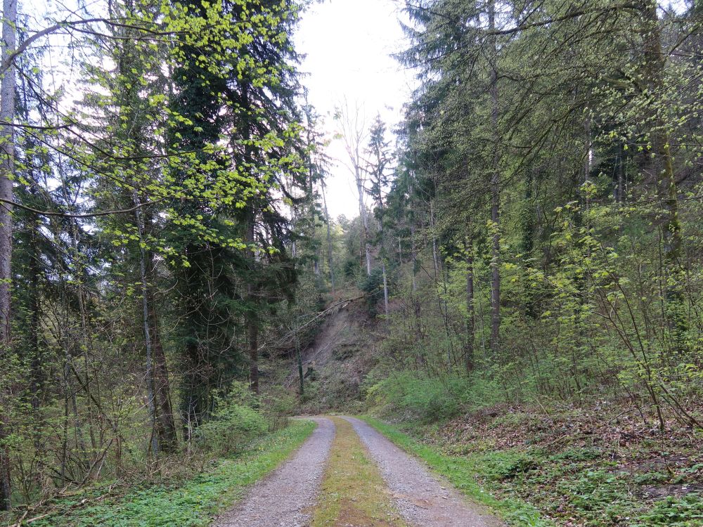 Speckstrasse