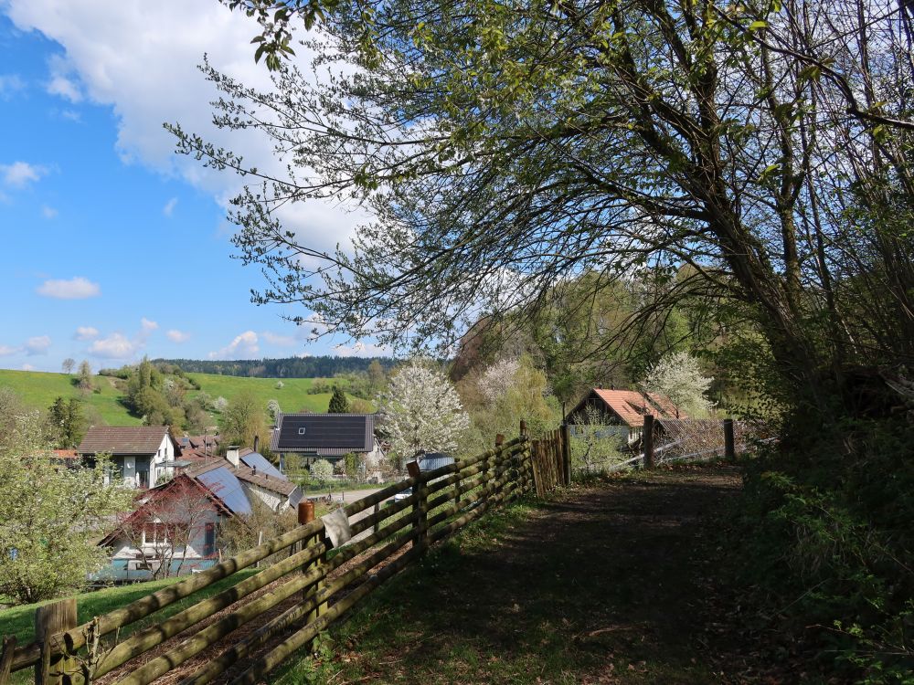 Waltenstein