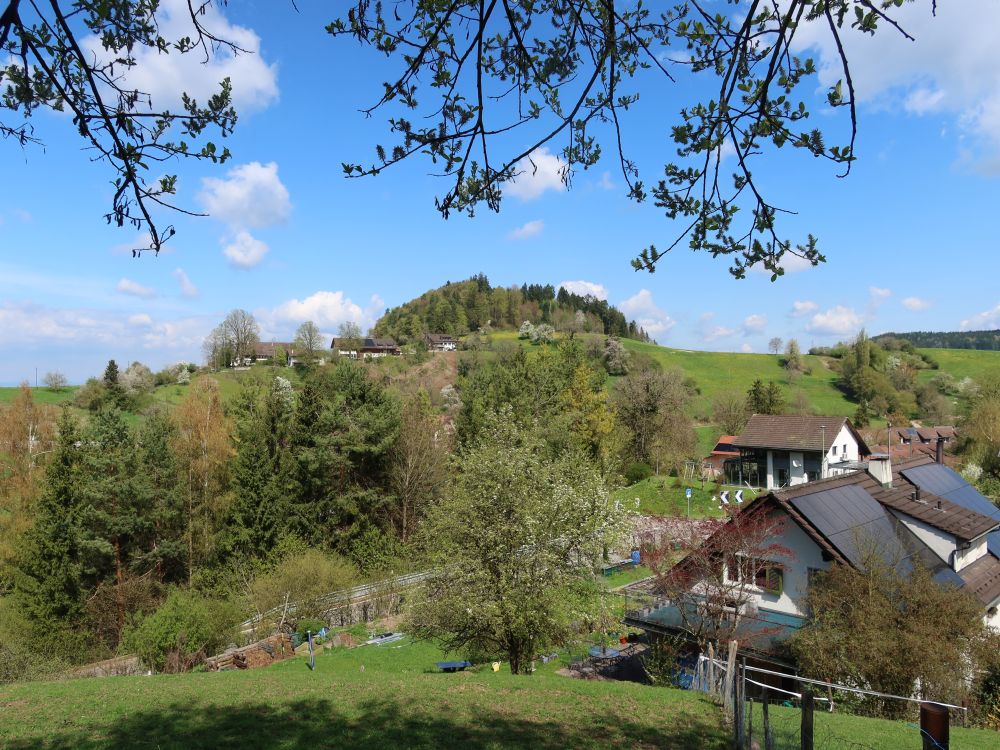 Eichbüel