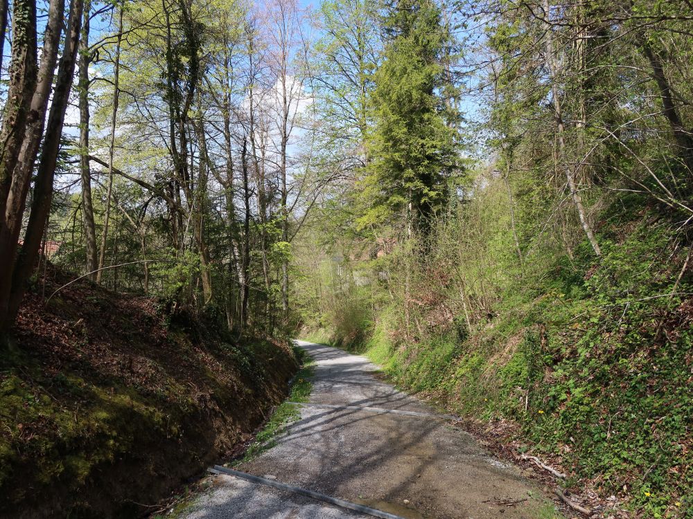 Steiggasse