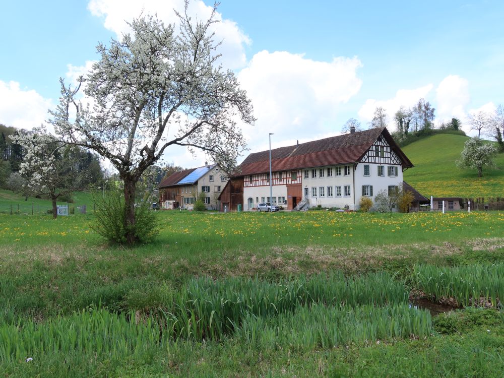 Johannestal