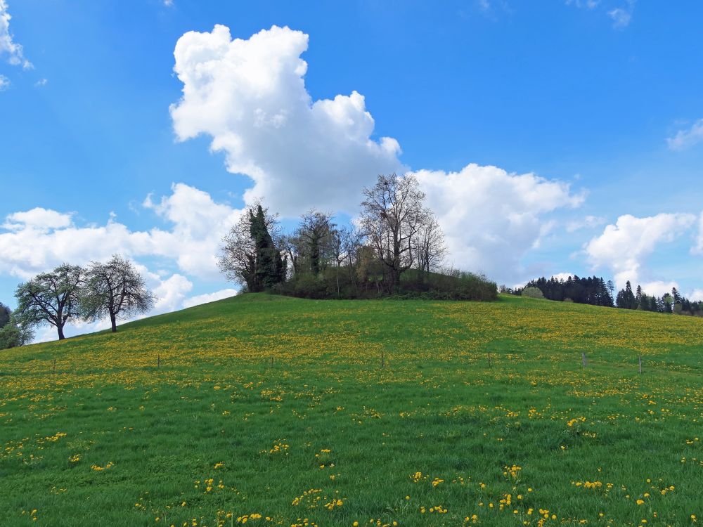 Wolke überm Eichbüel