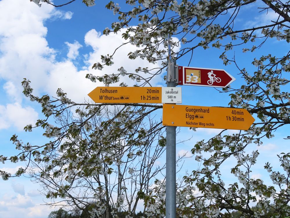 Wanderwegweiser