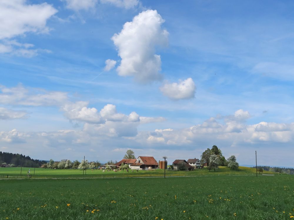 Wolke üner Neuguet