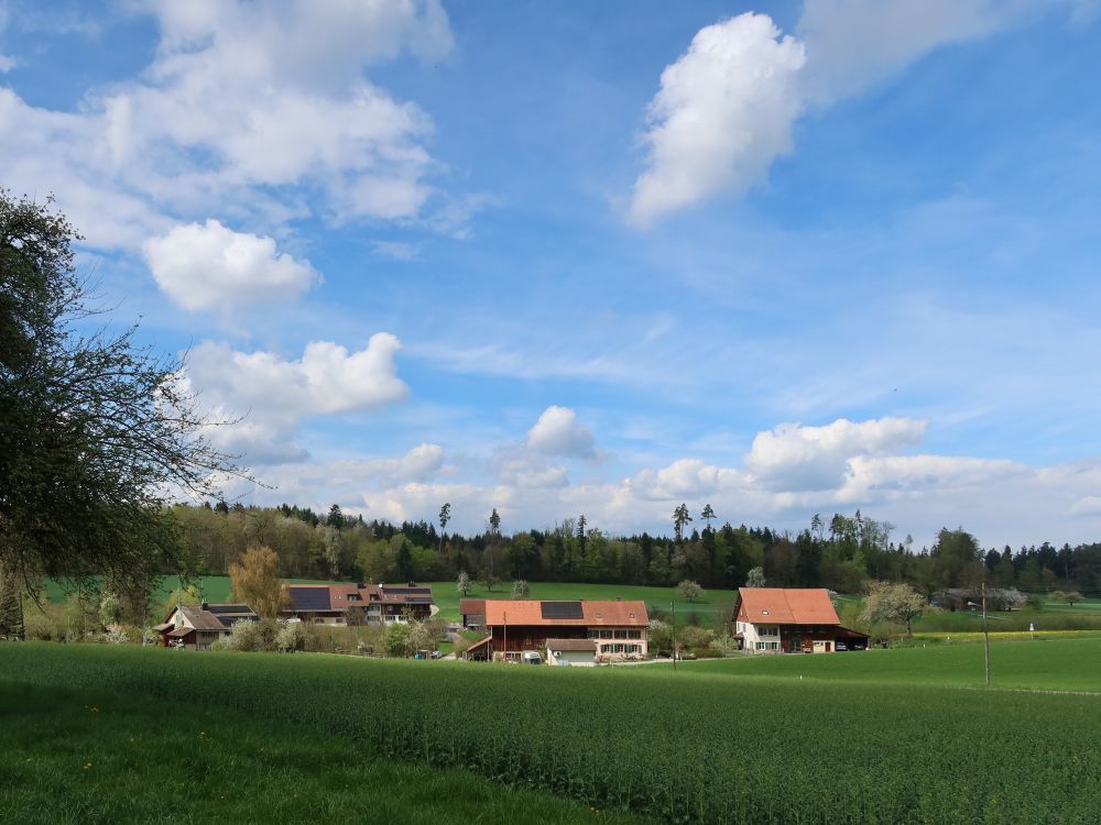 Unter Ricketwil