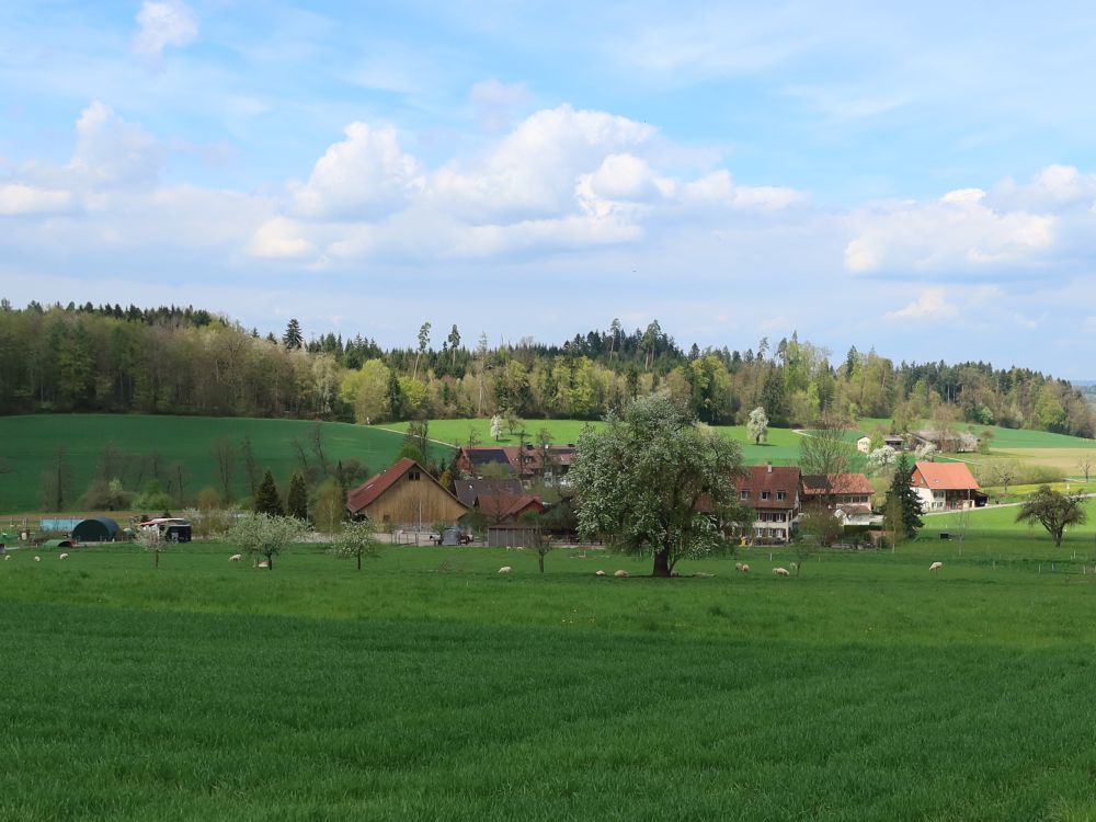 Unter Ricketwil