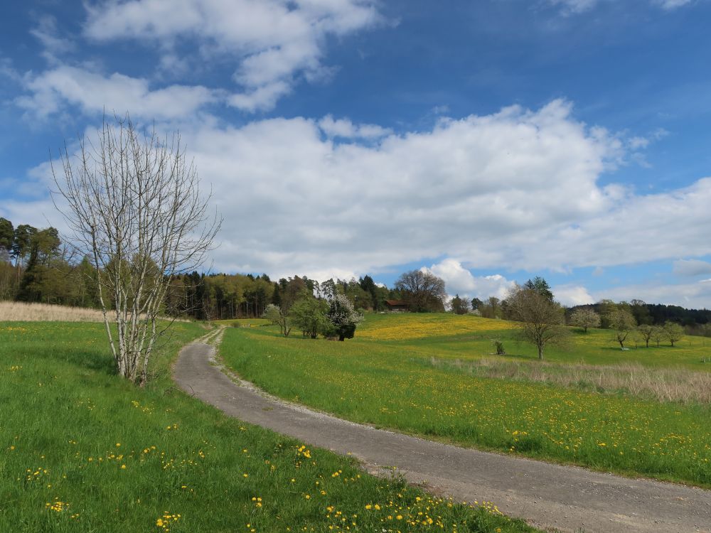 Lehmgrubenweg