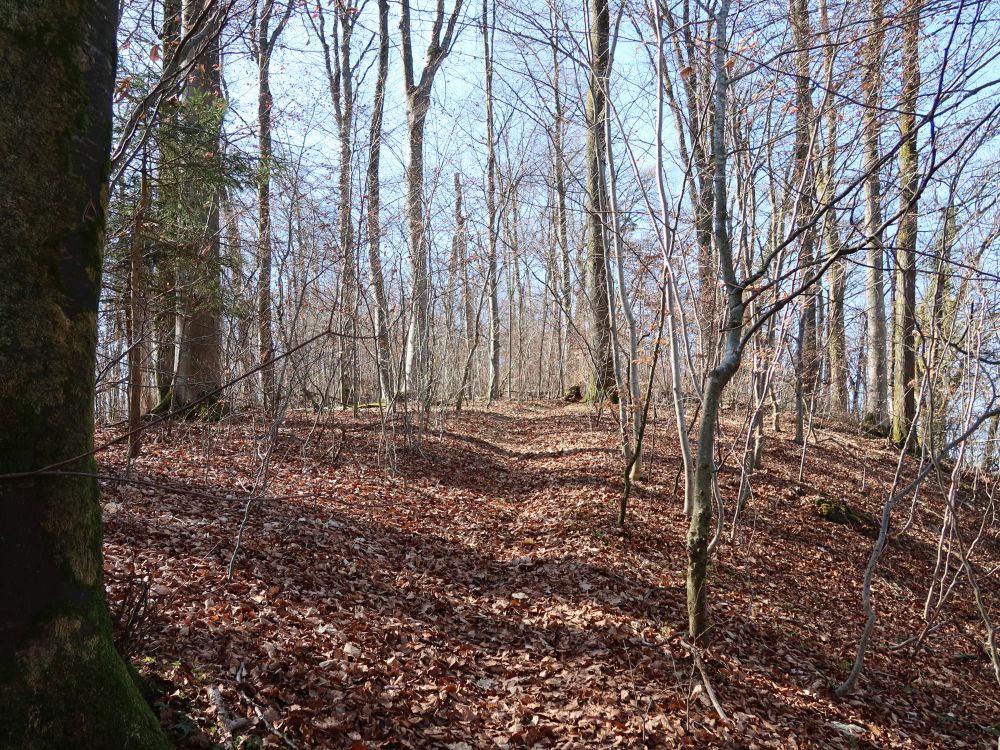 Pfad am Eiteberg