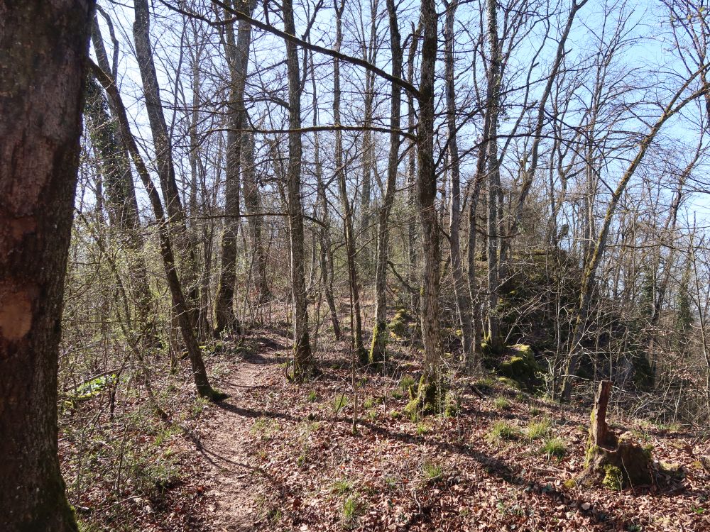Gratweg Eiteberg
