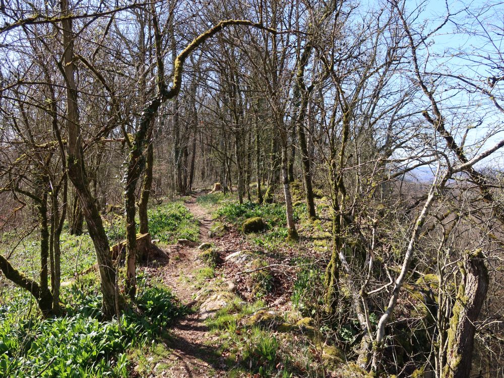 Gratweg Eiteberg