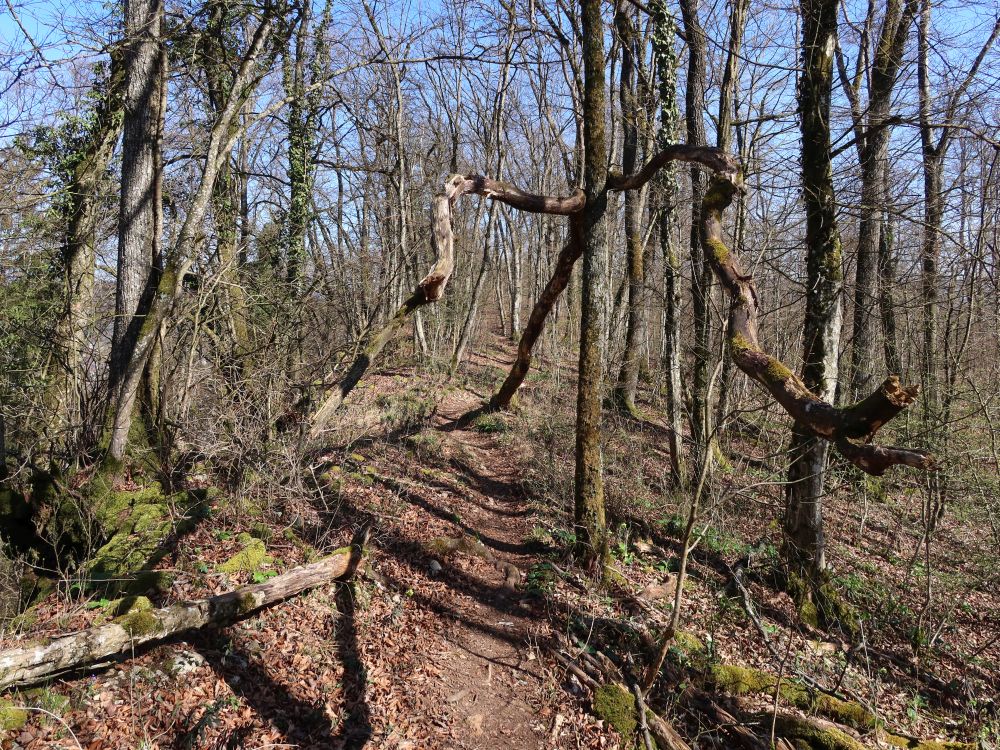 Gratweg Eiteberg