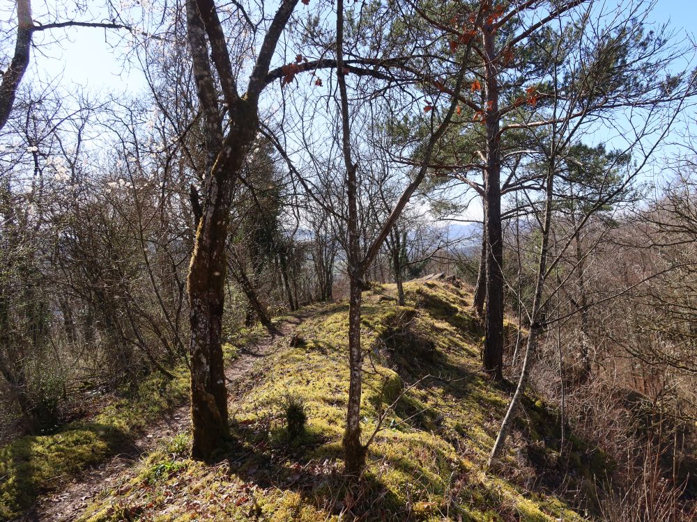 Gratweg Eiteberg