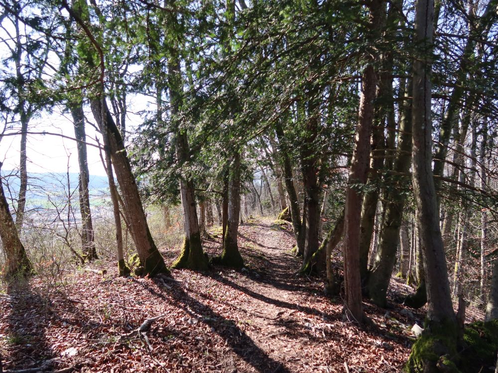Gratweg Eiteberg