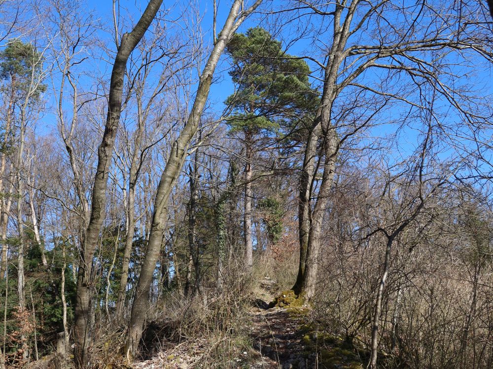 Gratweg Eiteberg