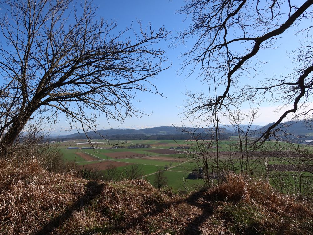 Blick Richtung Flugplatz Birrfeld