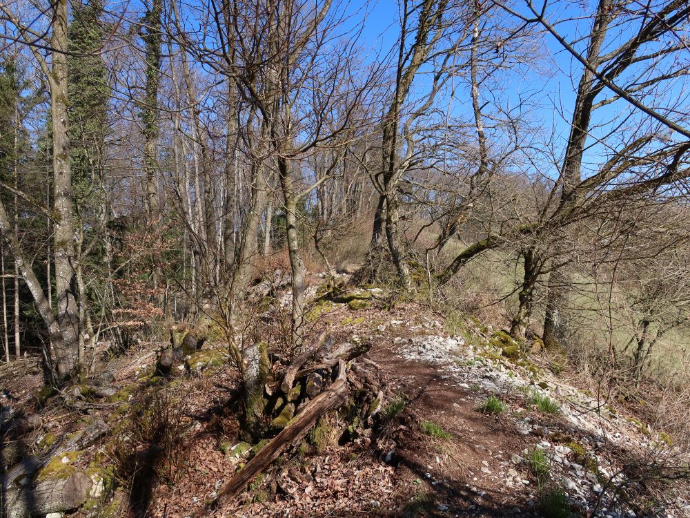 Gratweg Eiteberg