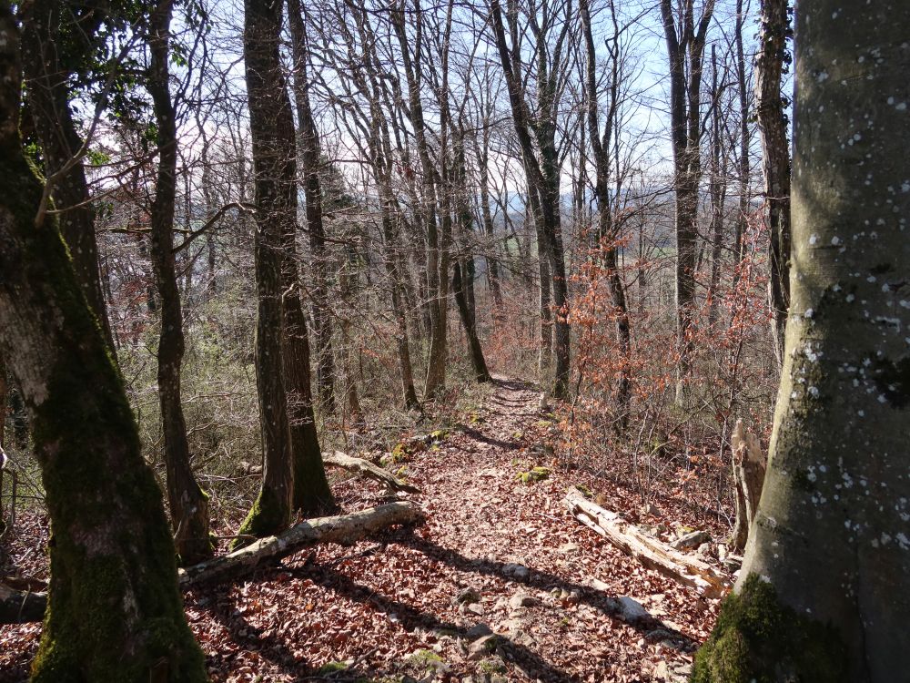Pfad am Eiteberg