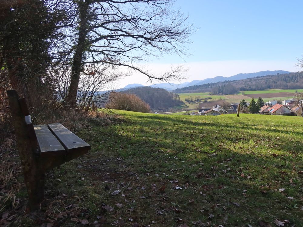Sitzbank am Waldrand