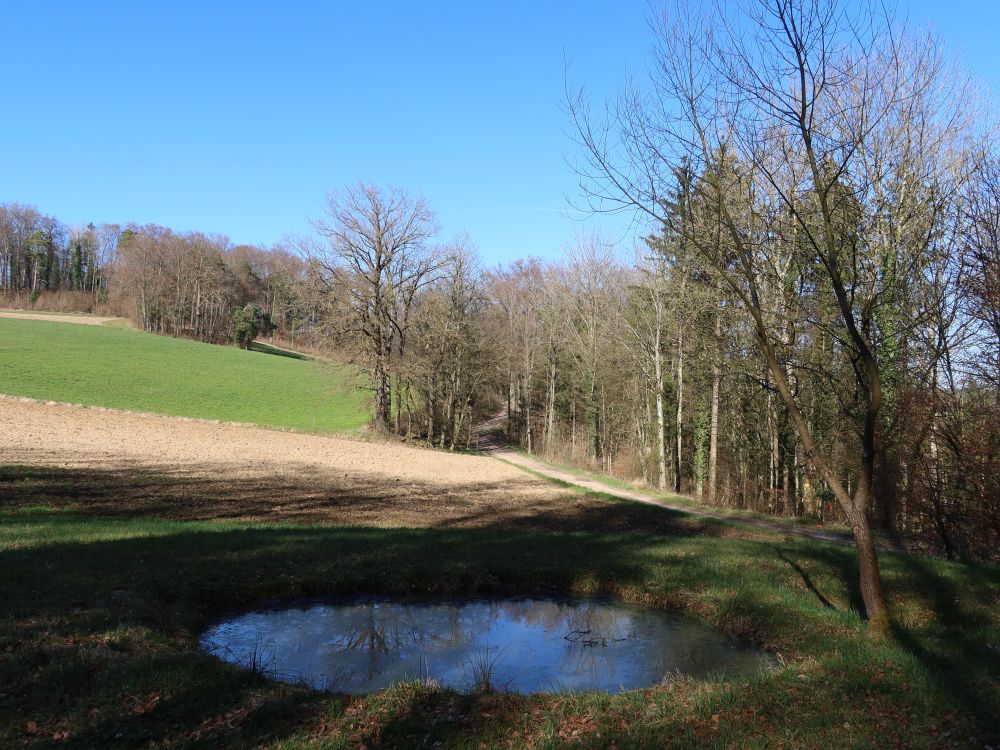 Tümpel bei Ölacher