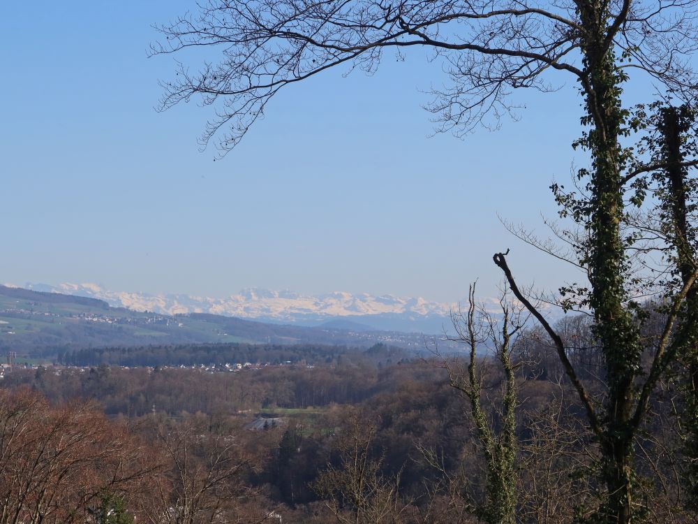 Alpenblick